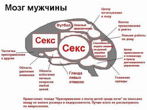 ����.jpg