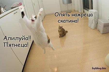 ������� !!!.jpg