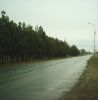 gal_selo_08.jpg