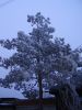 PB210005.jpg